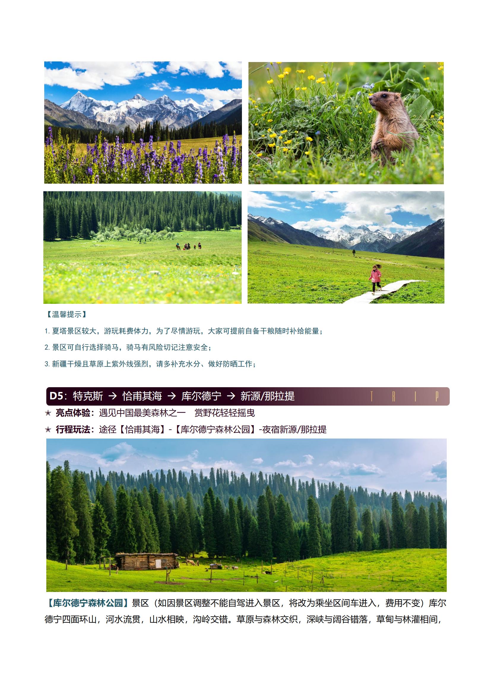 （獨庫版）DZX1【夏塔牧歌 花野伊犁8日】0購物0自費·豪華7座·2晚四鉆+1晚賽湖+1晚唐布拉·真Local玩法·穿