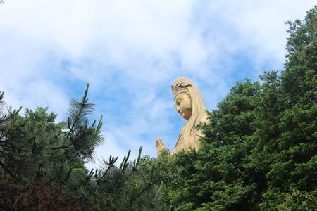 海天佛國普陀山、普濟(jì)寺、南海觀音 三天雙飛朝圣之旅PT-01